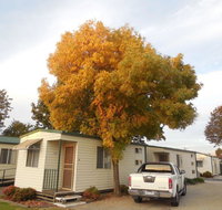 Wodonga Caravan  Cabin Park - Melbourne Tourism