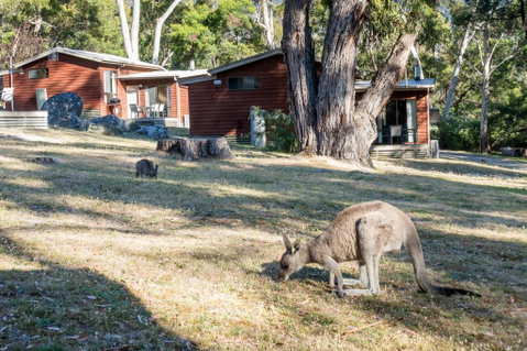 Wonderland Cottages - Melbourne Tourism 1