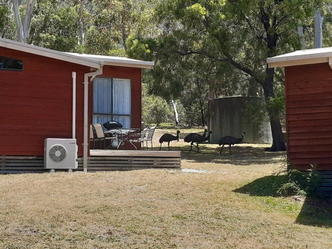 Wonderland Cottages - Melbourne Tourism 3