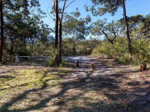 Wongaburra - Melbourne Tourism 2