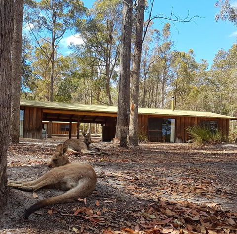 Woodbine Park Eco Cabins - Melbourne Tourism 2