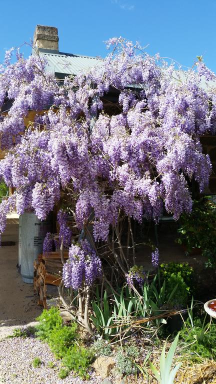 Woodvale At Cooma - Melbourne Tourism 3