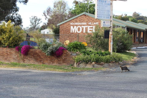 Woomargama Motel - Melbourne Tourism 3