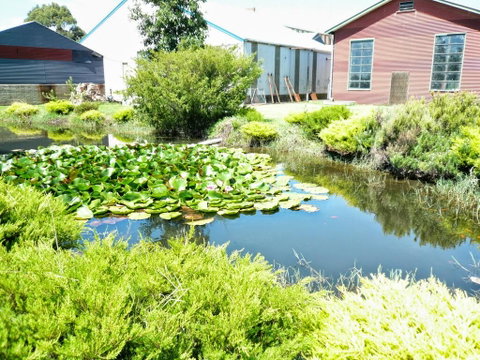 Yarragon Dairy Family Room - Melbourne Tourism 1