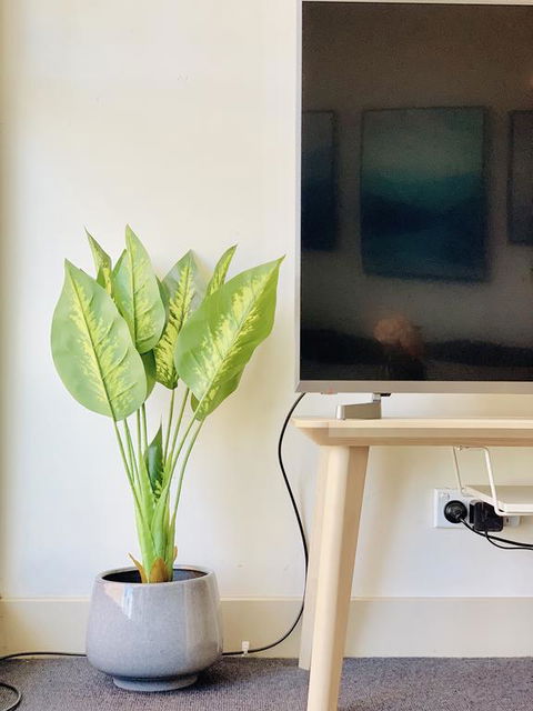 ZEN Homes On Collins - Melbourne Tourism 3