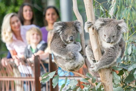 A 3BR Apt Next To Melbourne Zoo FREE Parking - Melbourne Tourism 2