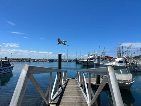 A Yachtsmans Rest Unit 3 37 Victoria Parade - Melbourne Tourism 0