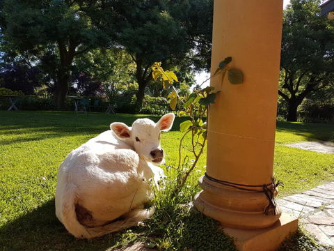 AL RU Farm - Melbourne Tourism 3