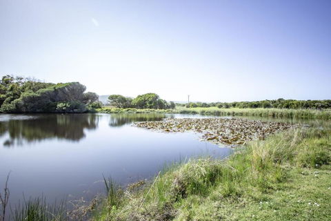 Apollo Bay Cottages- Sabine - Melbourne Tourism 3