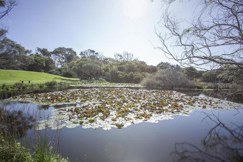 Apollo Bay Cottages- Sabine - Melbourne Tourism 4