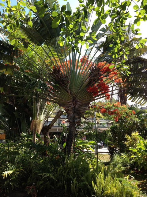 Port Douglas Apartments - Adults Only Oasis - Melbourne Tourism 39