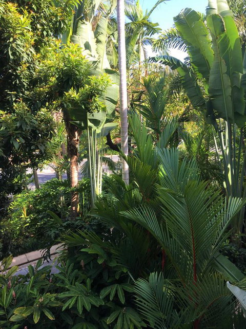 Port Douglas Apartments - Adults Only Oasis - Melbourne Tourism 1