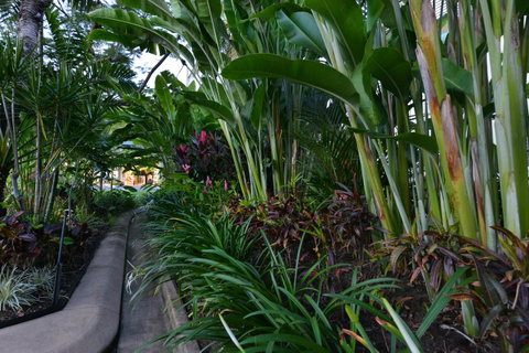 Port Douglas Apartments - Adults Only Oasis - Melbourne Tourism 9