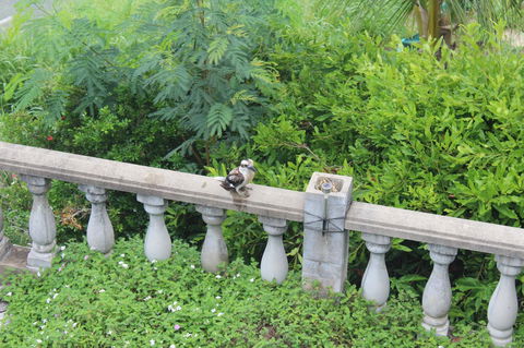 Whitsunday Moorings B&B - Melbourne Tourism 3