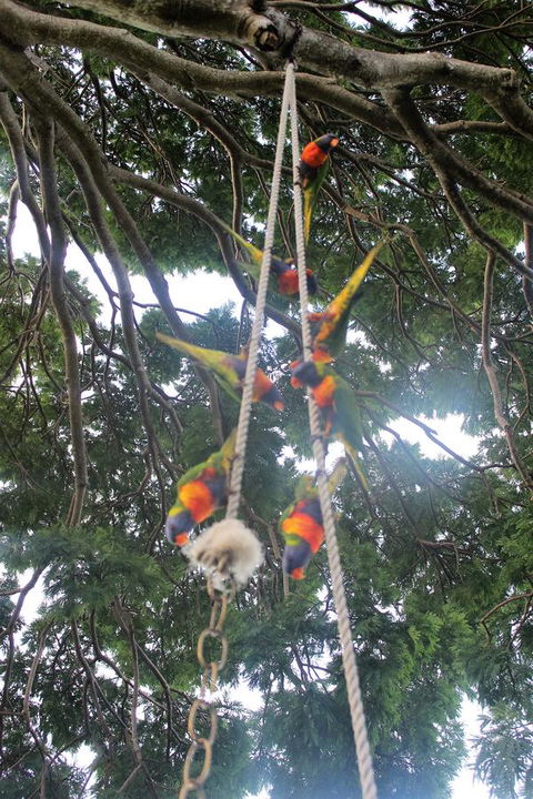 Whitsunday Moorings B&B - Melbourne Tourism 6