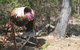 Magnetic Island Bed And Breakfast - thumb 32