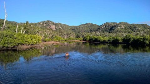 Magnetic Island Bed And Breakfast - Melbourne Tourism 8