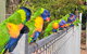 Magnetic Island Bed And Breakfast - thumb 6