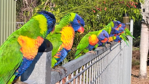Magnetic Island Bed And Breakfast - Melbourne Tourism 6