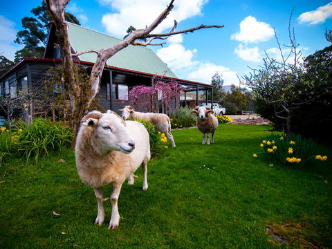 Parnella Adventure Bay, Bruny Island - Melbourne Tourism 19