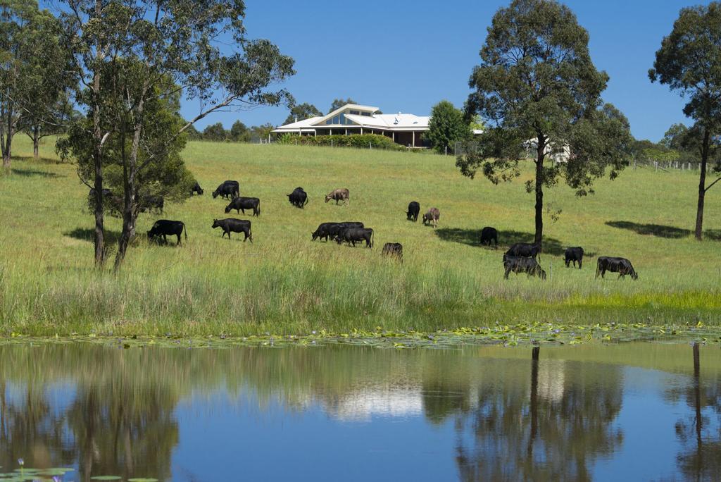 Wang Wauk NSW Melbourne Tourism