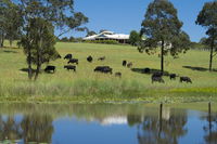 Book Nabiac Accommodation Vacations Melbourne Tourism Melbourne Tourism