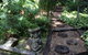 'The Tree House.' Treetop Living Near The Ocean, Coolum Beach, QLD, Australia - thumb 1