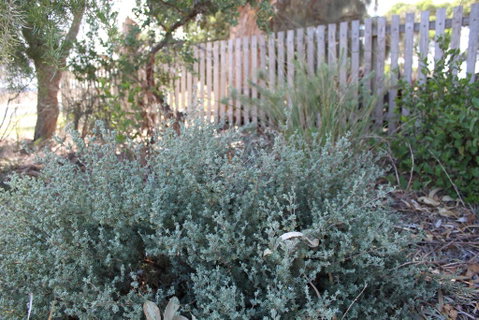 12 Apostles Cottages - Melbourne Tourism 2