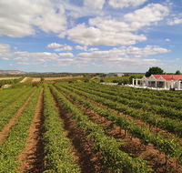 1837 Barossa Luxury Vineyard Cottages - Melbourne Tourism