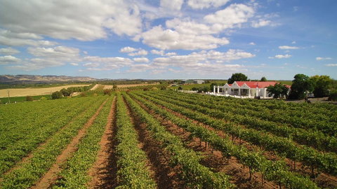 1837 Barossa Luxury Vineyard Cottages - Melbourne Tourism 0