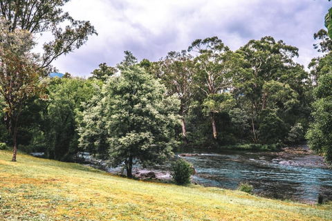 BIG4 Breeze Holiday Parks - Eildon - Melbourne Tourism 0