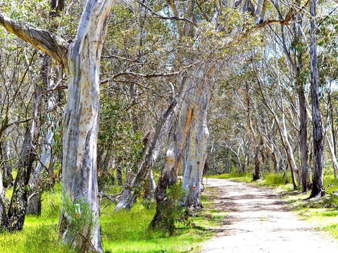Cabin 3 - Snowy Accommodation - Melbourne Tourism 1