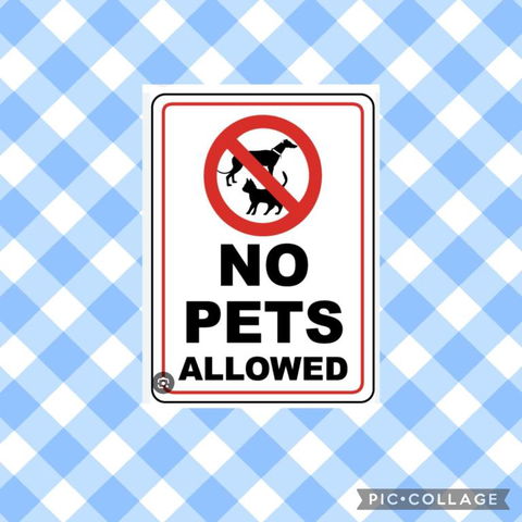 Camelot - Melbourne Tourism 1