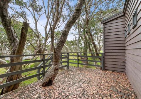 Caribou - Melbourne Tourism 1