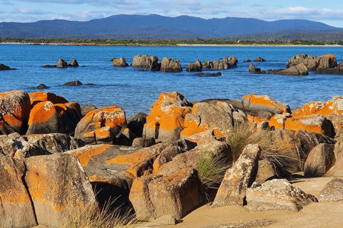 CHILL - Melbourne Tourism 1