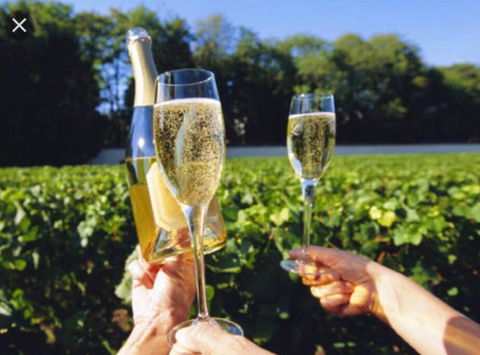 D110 Sweet Melon Super Stay-fantastic - Melbourne Tourism 4