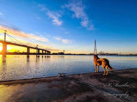 D112 Braybrook Central Stay-Great Getaway - Melbourne Tourism 2