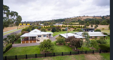 505 CONROD STRAIGHT MOUNT PANORAMA - Melbourne Tourism 1