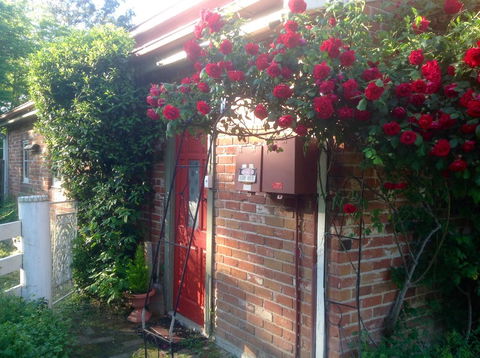 A Country Barn Retreat - Melbourne Tourism 2