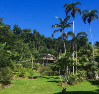 A Daintree Garden - Melbourne Tourism