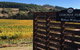 Gisborne Peak Winery Short Term Stays - thumb 0