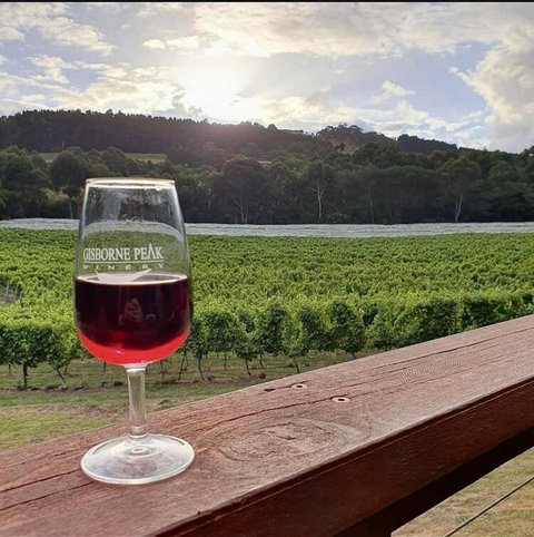 Gisborne Peak Winery Short Term Stays - Melbourne Tourism 3