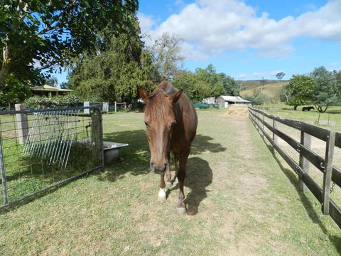 Glenfield Cottage - Melbourne Tourism 2