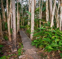 Agnes Palms Accommodation - Melbourne Tourism
