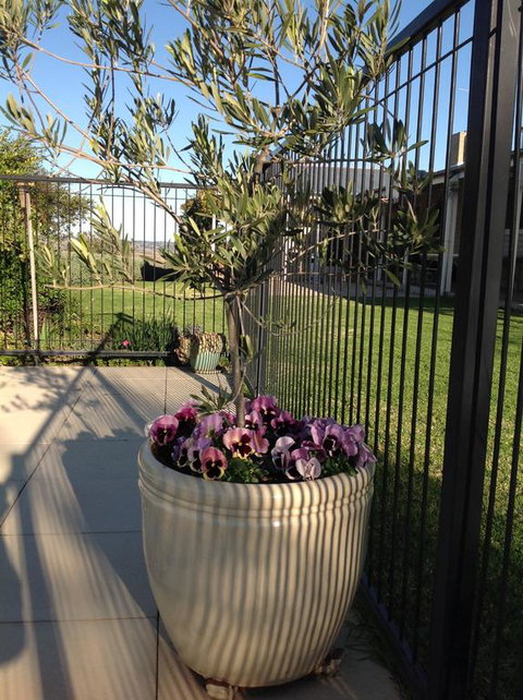 Amazing Views Pet Friendly Bed And Breakfast - Melbourne Tourism 3