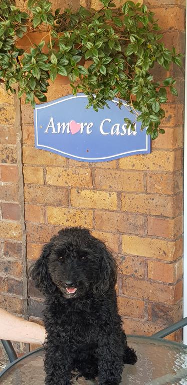 Amore Casa Tenterfield - Melbourne Tourism 2