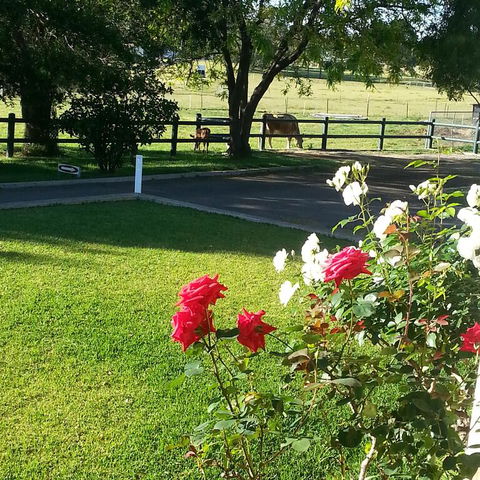 Appin Homestay B & B - Melbourne Tourism 3