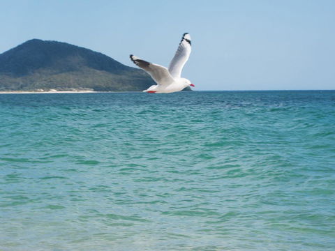 Architectural Design On The Beach - Melbourne Tourism 1