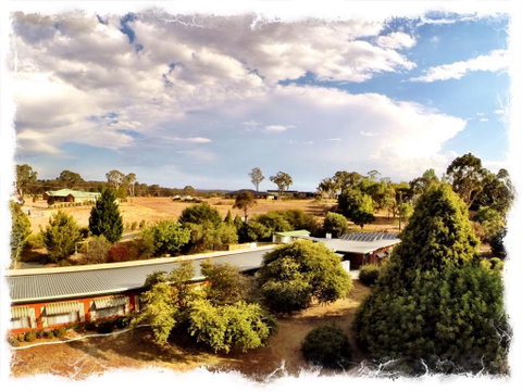 Armidale Rose Villa Motel - Melbourne Tourism 1