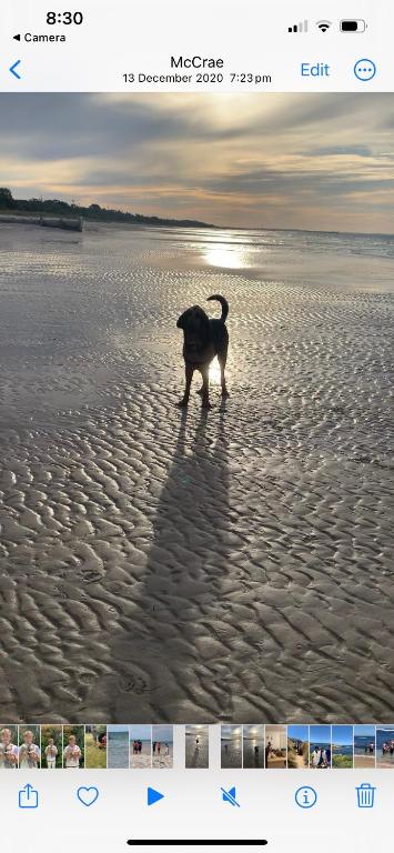 Mcrae Retro Beach House ! - Melbourne Tourism 2